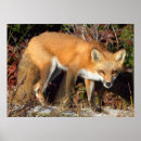 Suche nach mit eifer poster Eiferer