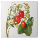 Suche nach vintage frucht fliesen Grün