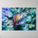 Recherche de poissons tropicaux posters Sous marin
