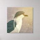 Suche nach schwarze federn leinwandbilder Vogelvogel