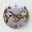 Recherche de monarques horloges Nature