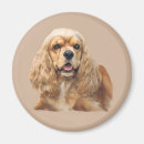 Suche nach cocker spaniel magnete Welpe