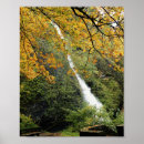 Recherche de fall river art Trees
