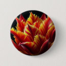 Suche nach rote tulpe buttons Natur
