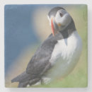 Suche nach klipp untersetzer Vogelvogel
