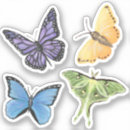 Suche nach luna motte aufkleber Schmetterling