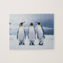 Recherche de pingouins puzzles Extérieur