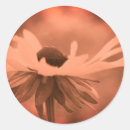 Recherche de marguerite vintage autocollants Fleur
