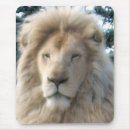 Recherche de lions tapis souris Wildlife