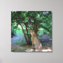 Suche nach gepard leinwandbilder Natur