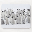 Suche nach kaiser pinguine mousepads Natur