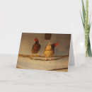 Suche nach coop karten Foto