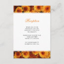 Suche nach chrysantheme Herbst