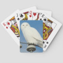 Recherche de rapace jeux de cartes Photographie de la nature