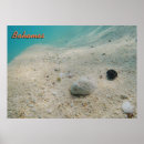 Suche nach große insel poster Bahamas