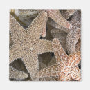 Suche nach salzwasser magnete Strand