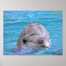 Suche nach mittlere poster Asien