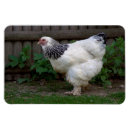 Recherche de nuque maison deco Animal
