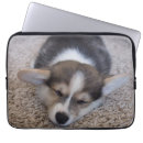 Suche nach corgie laptop schutzhüllen Welpe