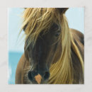 Recherche de mustang invitations Cheval sauvage