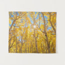 Suche nach espenbaum Herbst