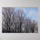 Suche nach naturlandschaft poster Himmel