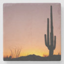 Suche nach tucson untersetzer Wüste