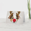 Suche nach jack russel karten Weihnachtskarte