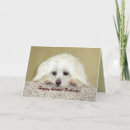 Suche nach verspätete karten Foto