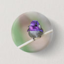Suche nach kolibris buttons Vögel