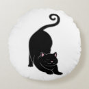 Recherche de joli minou Noir et blanc