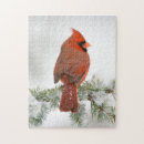 Suche nach brust puzzle Vogelart