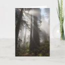 Suche nach redwood karten Wälder