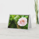 Recherche de rosas vœux cartes Bouquet