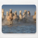 Suche nach weiße pferde mousepads Strand