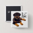 Recherche de rottweiler badges Amoureux des chiens