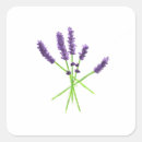 Suche nach geruch aufkleber Lavendel