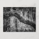 Recherche de wild cartes postales Faune
