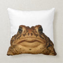 Suche nach kröte kissen Natur