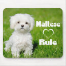 Suche nach maltesisch mousepads Welpe
