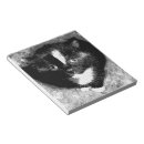Suche nach stillen notizblock Katze