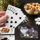 Suche nach persisch spielkarten Haustier