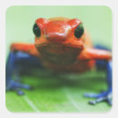Suche nach reptilien aufkleber Tierwelt