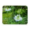 Suche nach kornblumen magnete Blau