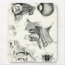 Recherche de humain anatomie tapis souris Biologie
