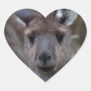 Recherche de kangourous autocollants Australie