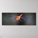 Recherche de macro posters Photographie