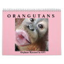 Suche nach affen kalender Borneo