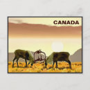 Recherche de duel cartes postales Pour tous