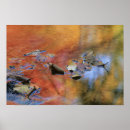 Suche nach schwimmend poster Gelb